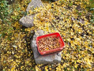 노아마님의 1월 내 작물 자랑하기 · 참여글 작성글 사진