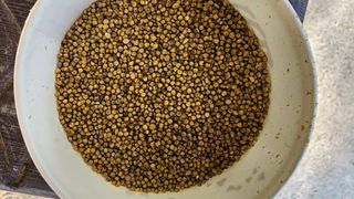 정권옥님의 기타작물 · 자유게시판 작성글 사진