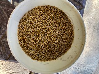 정권옥님의 기타작물 · 자유게시판 작성글 사진