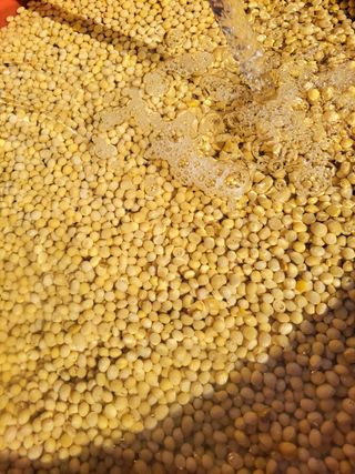 고추총각님의 자유주제 · 자유게시판 작성글 사진