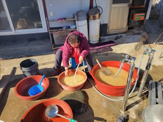 고추총각님의 자유주제 · 자유게시판 작성글 사진