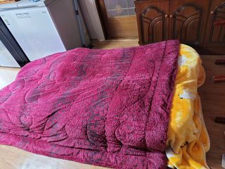 고추총각님의 자유주제 · 자유게시판 작성글 사진