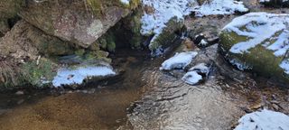 허화자님의 우리동네 · 동네수다 작성글 사진