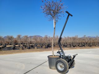 김기옥 님의 1월 내 작물 자랑하기 · 참여글 작성글 사진