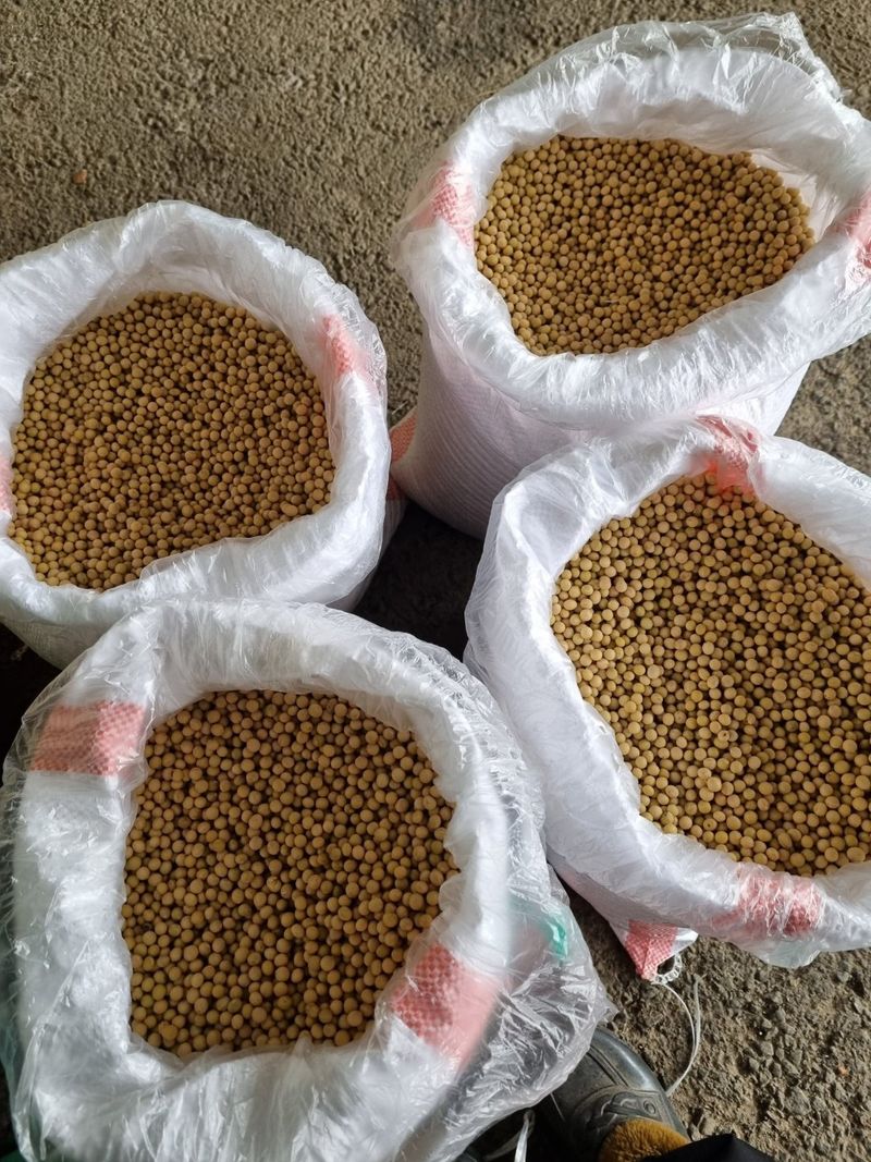 장터 상품 [메주콩] 썸네일