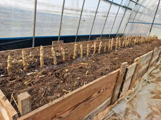 박린님의 기타작물 · 자유게시판 작성글 사진