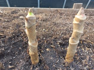 박린님의 기타작물 · 자유게시판 작성글 사진