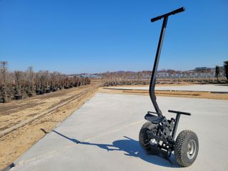 김기옥 님의 블루베리 · 자유게시판 작성글 사진