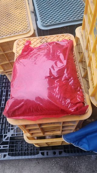 알토님의 작성글 사진