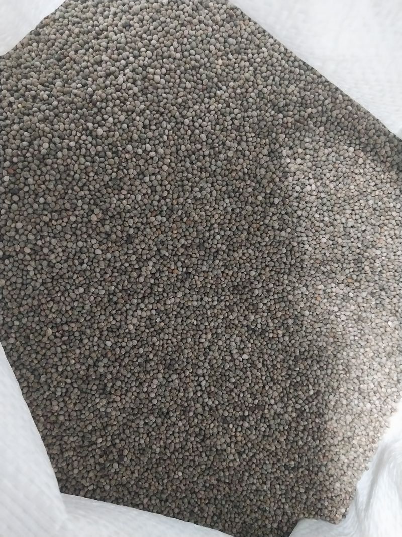 이재기님의 장터 판매 상품 [들깨 60키로] 첨부 사진