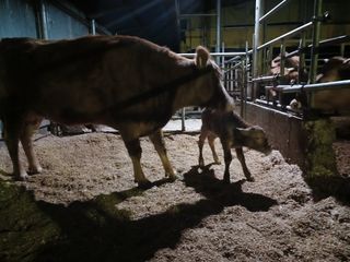알 수 없음님의 우리동네 · 동네수다 작성글 사진