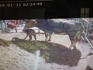 알 수 없음님의 우리동네 · 동네수다 작성글 사진