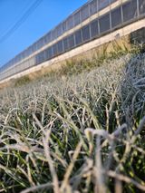 팜모닝 자유주제·사진전 게시글 이미지