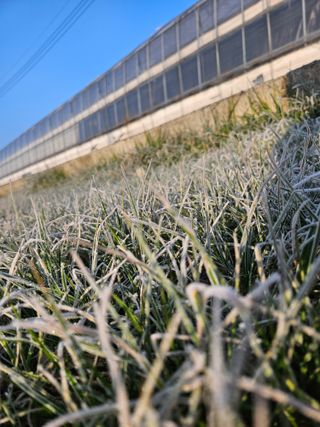 안성화님의 자유주제 · 사진전 작성글 사진