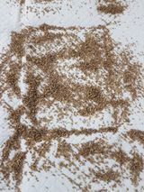 팜모닝 · 게시글 이미지