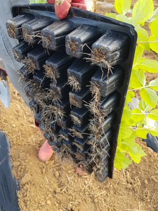 오아성님의 작성글 사진