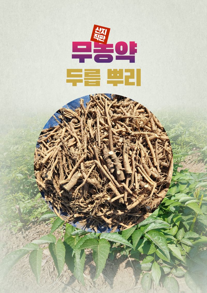 장터 상품 [두릅 뿌리] 썸네일