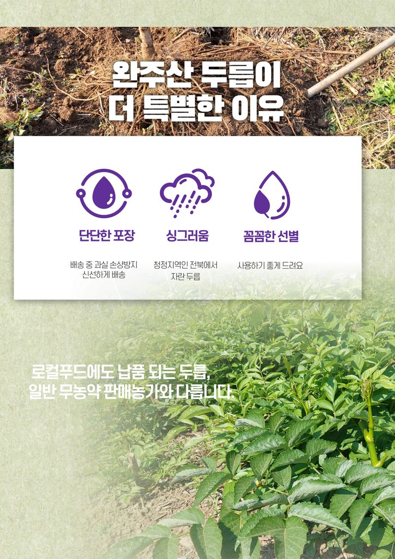 김석(휴대폰.인터넷매장)님의 장터 판매 상품 [두릅 뿌리] 첨부 사진