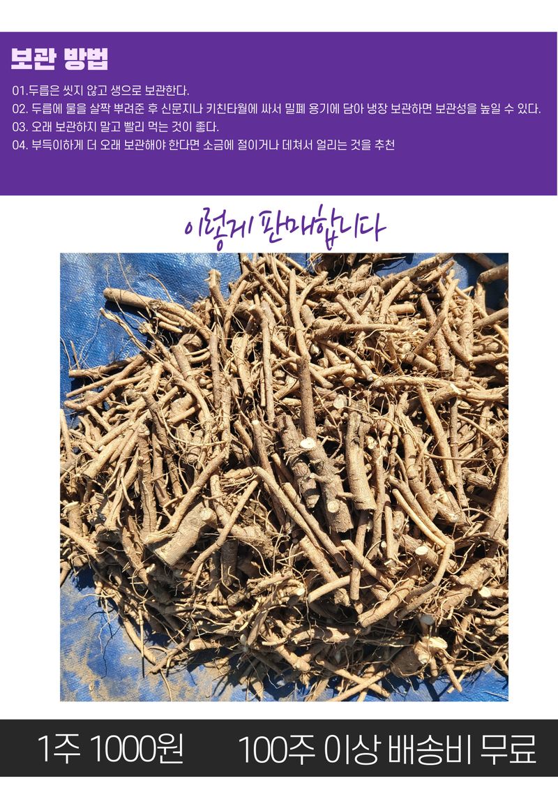 김석(휴대폰.인터넷매장)님의 장터 판매 상품 [두릅 뿌리] 첨부 사진