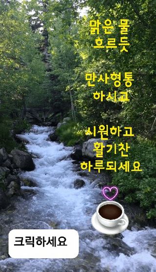 최행연님의 출석결과 자랑하기 · 참여글 작성글 사진