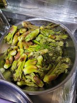 팜모닝 출석결과 자랑하기·참여글 게시글 이미지