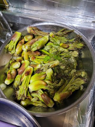 시호바라기님의 출석결과 자랑하기 · 참여글 작성글 사진