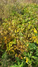 팜모닝 출석결과 자랑하기·참여글 게시글 이미지