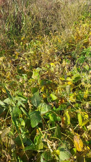 천지창조님의 출석결과 자랑하기 · 참여글 작성글 사진