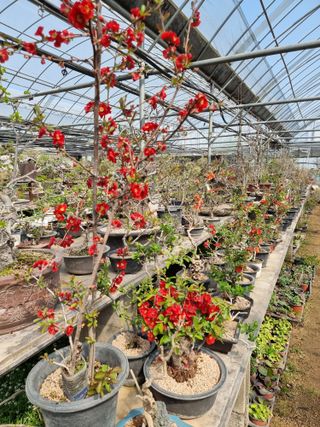 유재현님의 출석결과 자랑하기 · 참여글 작성글 사진