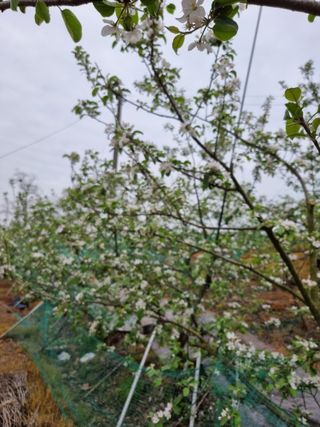 유재현님의 출석결과 자랑하기 · 참여글 작성글 사진