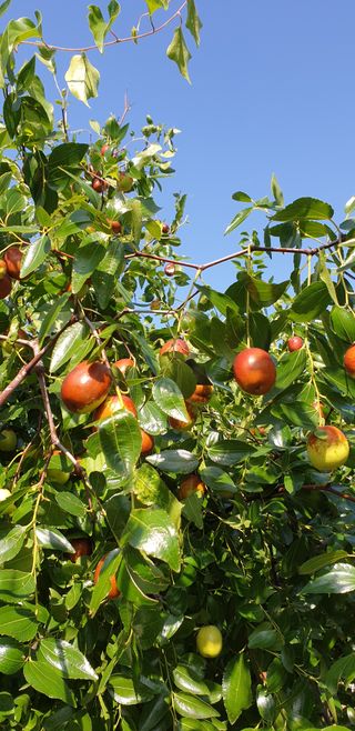 유재현님의 출석결과 자랑하기 · 참여글 작성글 사진