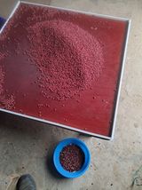 팜모닝 출석결과 자랑하기·참여글 게시글 이미지