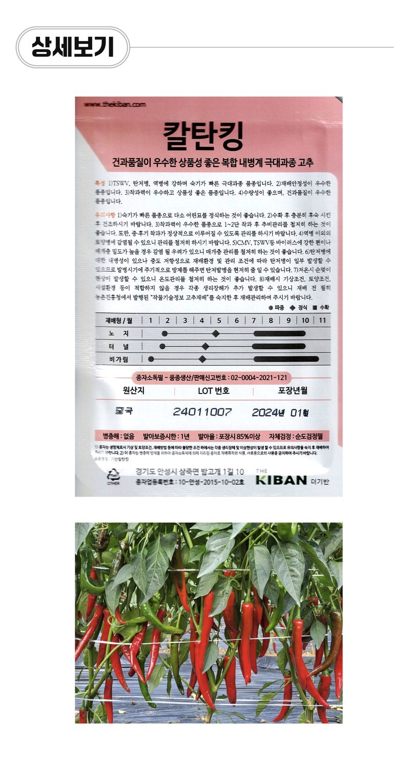 팜모닝 상점님의 장터 판매 상품 [[더기반] 칼탄킹 복합계 고추씨앗 1200립] 첨부 사진
