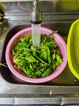 팜모닝 출석결과 자랑하기·참여글 게시글 이미지