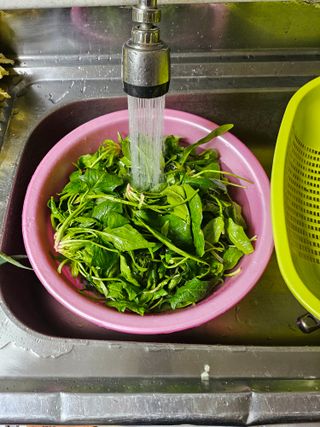 원머루 강낙도님의 출석결과 자랑하기 · 참여글 작성글 사진