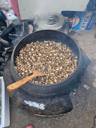 원머루 강낙도님의 출석결과 자랑하기 · 참여글 작성글 사진