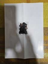 팜모닝 자유주제·자유게시판 게시글 이미지