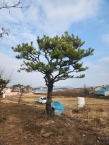 팜모닝 출석결과 자랑하기·참여글 게시글 이미지