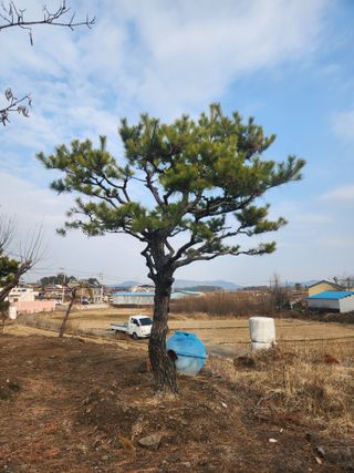 상록2님의 출석결과 자랑하기 · 참여글 작성글 사진