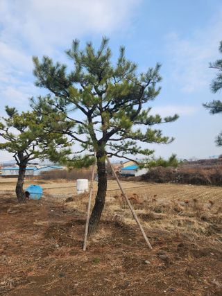 상록2님의 출석결과 자랑하기 · 참여글 작성글 사진