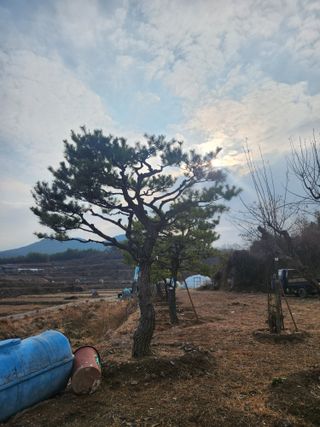 상록2님의 출석결과 자랑하기 · 참여글 작성글 사진