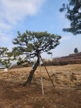 상록2님의 출석결과 자랑하기 · 참여글 작성글 사진