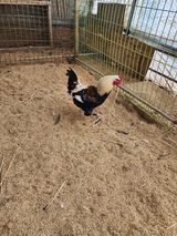 팜모닝 1월 내 작물 자랑하기·참여글 게시글 이미지