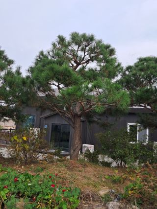 오이14949님의 출석결과 자랑하기 · 참여글 작성글 사진