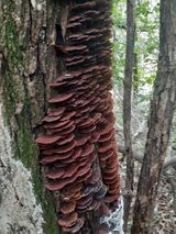 팜모닝 출석결과 자랑하기·참여글 게시글 이미지