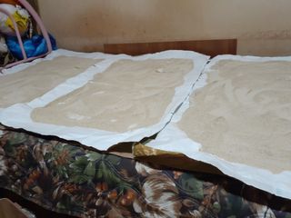 도토리아줌마님의 출석결과 자랑하기 · 참여글 작성글 사진