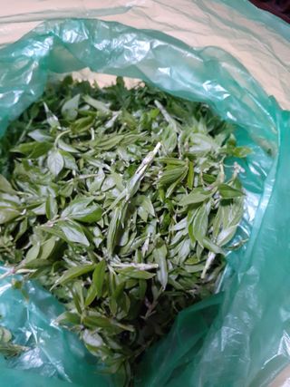 도토리아줌마님의 출석결과 자랑하기 · 참여글 작성글 사진