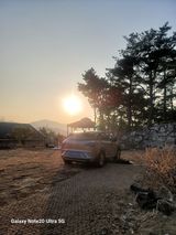 팜모닝 출석결과 자랑하기·참여글 게시글 이미지