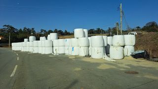 박봉수님의 작성글 사진