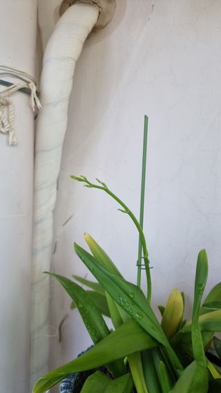 푸른꿈님의 자유주제 · 자유게시판 작성글 사진